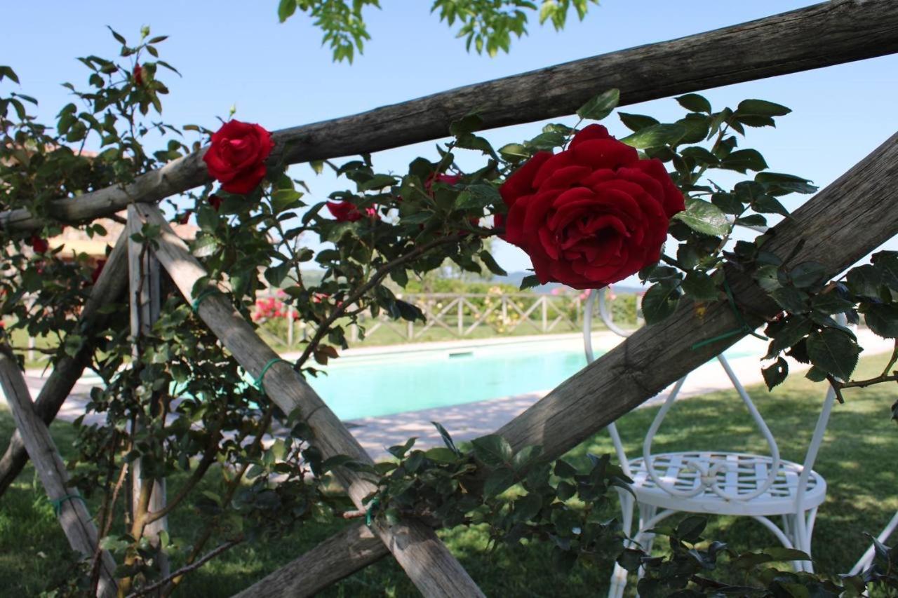 Villa Agriturismo La Paciarella à Campiglia dʼOrcia Extérieur photo
