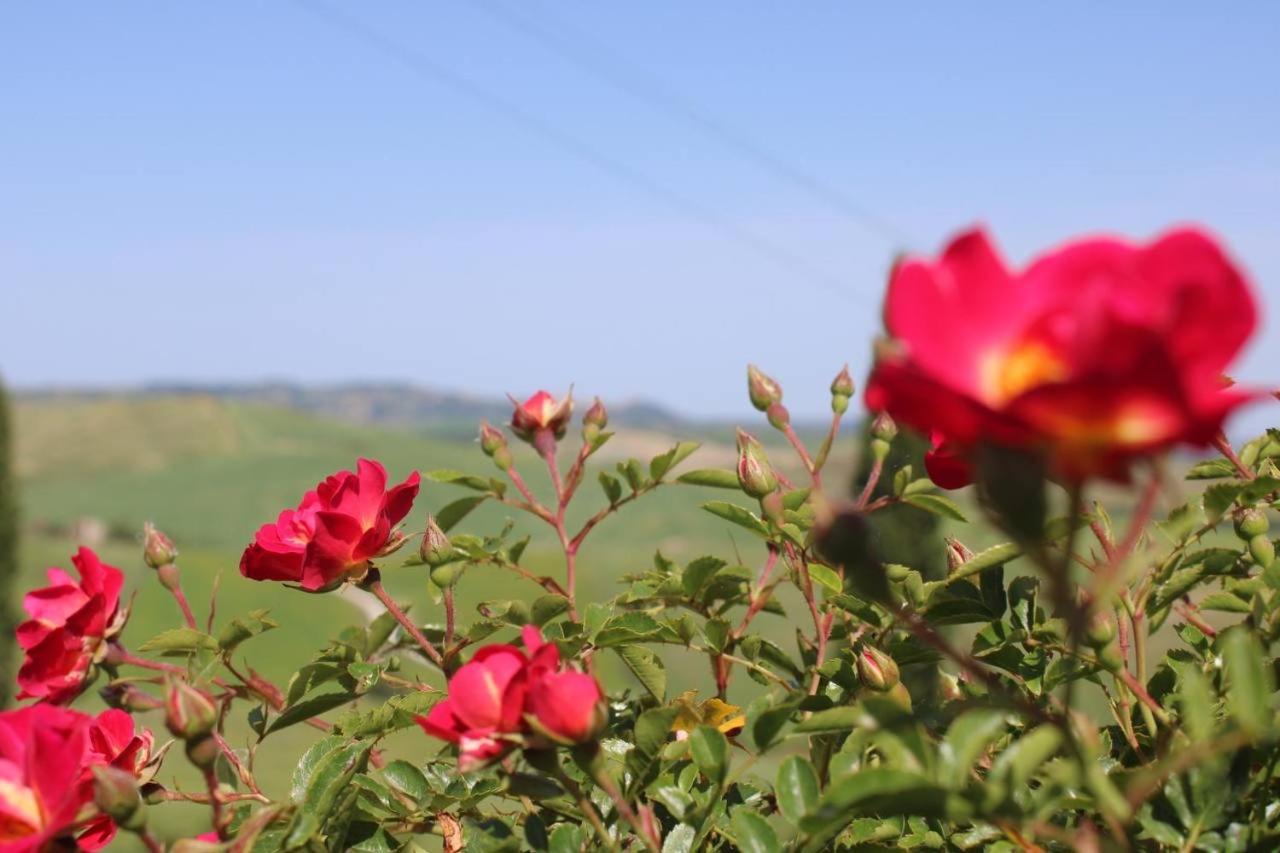 Villa Agriturismo La Paciarella à Campiglia dʼOrcia Extérieur photo